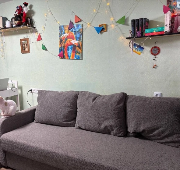 Photo 1. One-Room flat, to rent. Poltava Шевченковский (Октябрьский)