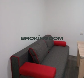 Photo 5. One-Room flat, for sale. Kyiv Голосеевский