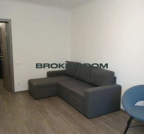 Photo 4. One-Room flat, for sale. Kyiv Голосеевский