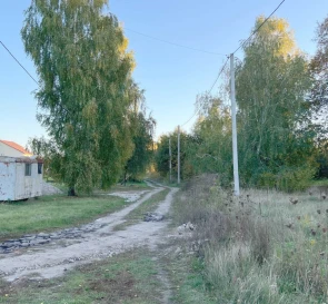 Photo 2. Lot, for sale. Trebukhiv