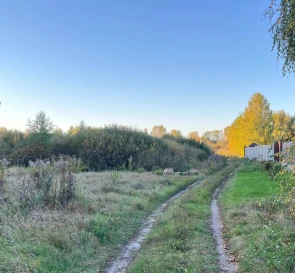 Photo 3. Lot, for sale. Trebukhiv