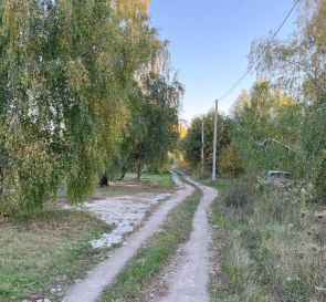 Photo 4. Lot, for sale. Trebukhiv