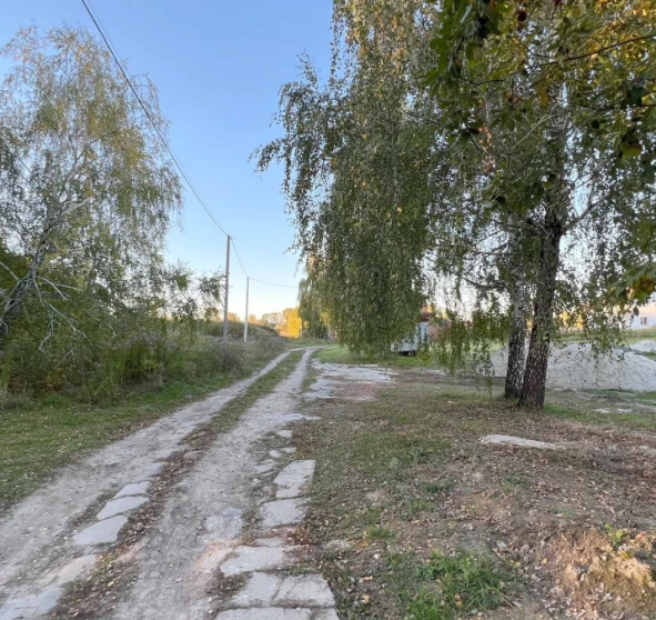 Photo 1. Lot, for sale. Trebukhiv