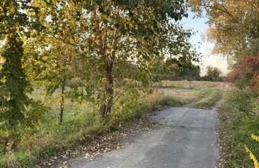 Photo Lot, for sale. Dudarkiv