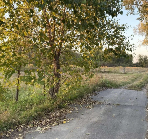 Photo 1. Lot, for sale. Dudarkiv