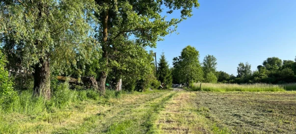 Photo 2. Lot, for sale. Dudarkiv