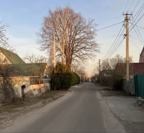 Photo 2. Lot, for sale. Trebukhiv