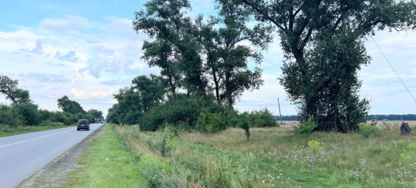 Zdjęcie 2. Działka, na sprzedaż. Trebukhiv
