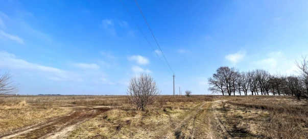 Фото 4. Ділянка, продаж. Княжичі
