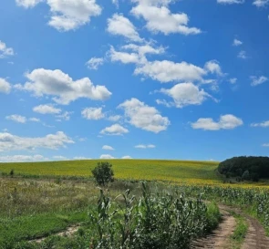 Zdjęcie 3. Działka, na sprzedaż. Krasne Pershe