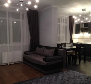 Photo 2. One-Room flat, to rent. Kyiv Голосеевский район, Palats Ukraina