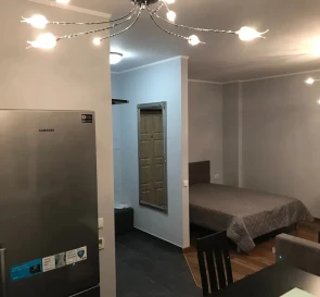 Photo 3. One-Room flat, to rent. Kyiv Голосеевский район, Palats Ukraina