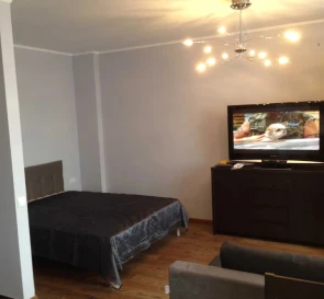 Photo 4. One-Room flat, to rent. Kyiv Голосеевский район, Palats Ukraina