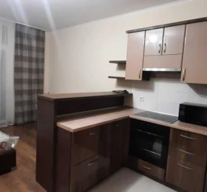 Photo 3. One-Room flat, to rent. Kyiv Дарницкий