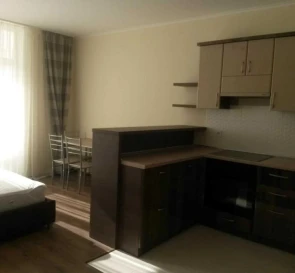 Photo 5. One-Room flat, to rent. Kyiv Дарницкий