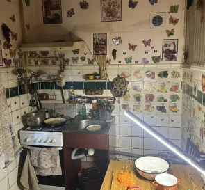 Photo 5. Two-Room flat, for sale. Kyiv Голосеевский, Vasylkivska