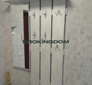 Photo 5. One-Room flat, for sale. Kyiv Печерский