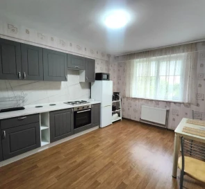 Photo 3. One-Room flat, to rent. Kyiv Голосеевский, Vasylkivska