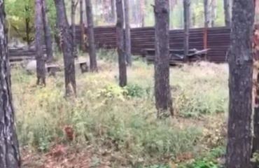 Zdjęcie Działka, na sprzedaż. Zhytomyr Передмістя