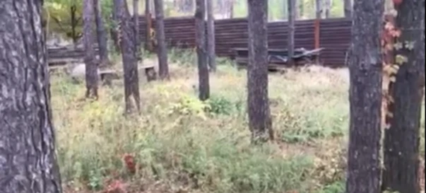 Zdjęcie 1. Działka, na sprzedaż. Zhytomyr Передмістя