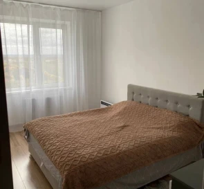 Photo 3. One-Room flat, for sale. Novosilky