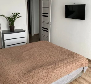Photo 4. One-Room flat, for sale. Novosilky