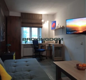 Photo 2. One-Room flat, for sale. Kyiv Голосеевский
