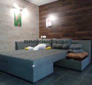 Photo 3. One-Room flat, for sale. Kyiv Голосеевский