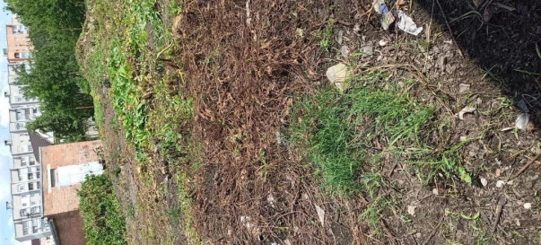 Foto 1. Terreno, en venta. Zhytomyr Панчішна фабрика