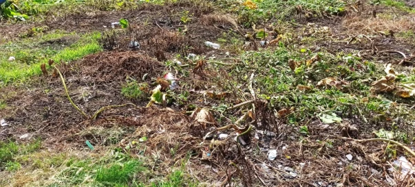 Foto 2. Terreno, en venta. Zhytomyr Панчішна фабрика