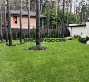 Фото 4. Будинок, продаж. Київ Дарницкий