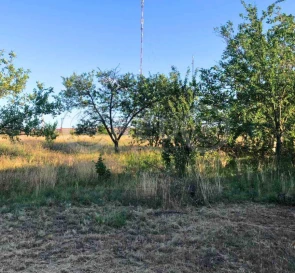 Photo 3. Lot, for sale. Мар'янівка