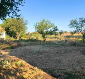 Photo 4. Lot, for sale. Мар'янівка