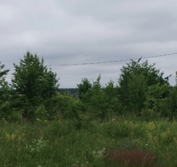 Photo 2. Lot, for sale. Zhytomyr Передмістя
