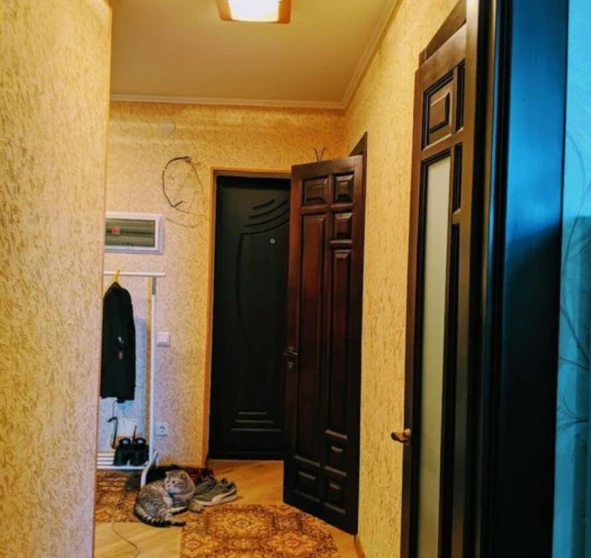 Photo 1. One-Room flat, to rent. Poltava Шевченковский (Октябрьский)