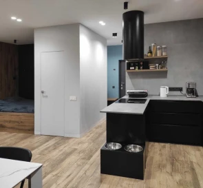 Photo 4. One-Room flat, to rent. Kyiv Дарницкий