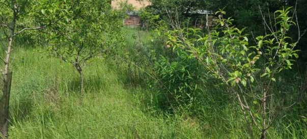 Фото 4. Участок, продажа. Житомир Передмістя
