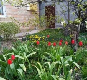 Photo 2. House, for sale. Kyiv Дарницкий