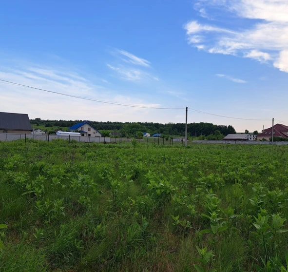 Фото 1. Ділянка, продаж. Новосілки