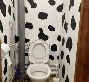 Photo 3. One-Room flat, to rent. Poltava Шевченковский (Октябрьский)