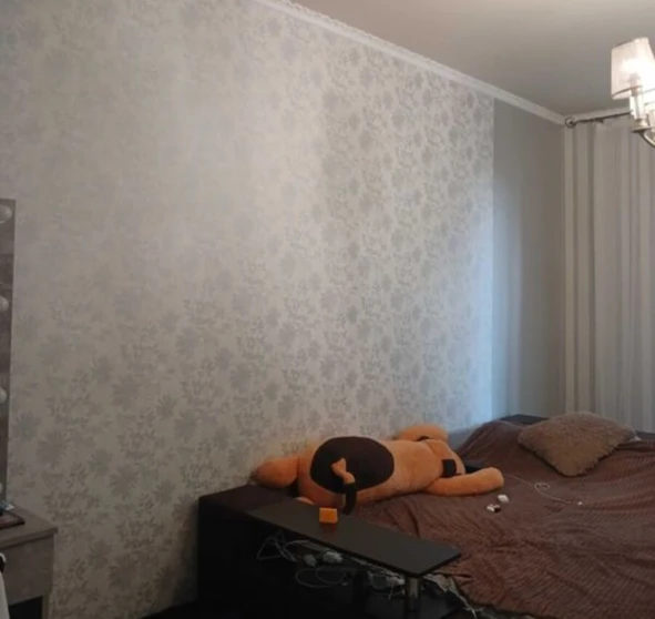 Photo 1. One-Room flat, to rent. Poltava Шевченковский (Октябрьский)