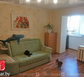 Photo 3. Two-Room flat, for sale. Minsk Ленинский