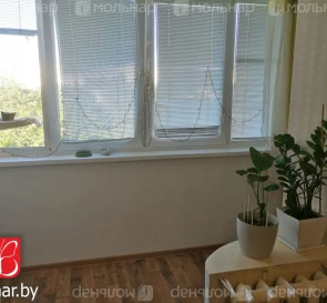 Photo 4. Two-Room flat, for sale. Minsk Ленинский