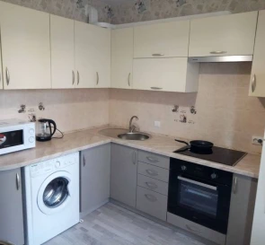 Photo 4. One-Room flat, to rent. Kyiv Дарницкий