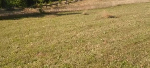 Photo 2. Lot, for sale. Яблуниця