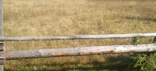Photo 1. Lot, for sale. Яблуниця