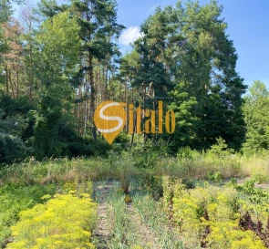 Фото 3. Участок, продажа. Подгорцы