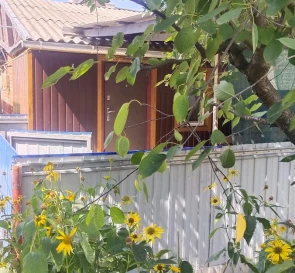 Photo 4. One-Room flat, to rent. Poltava Подольский