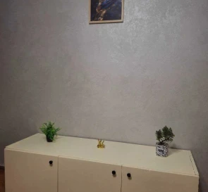 Photo 2. Two-Room flat, to rent. Poltava Шевченковский (Октябрьский)