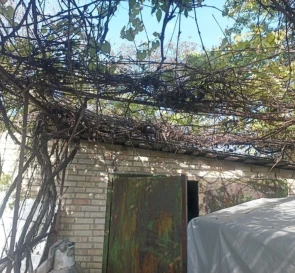 Foto 3. Casa, en venta. Danylivka